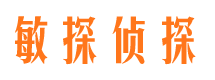 西充寻人公司